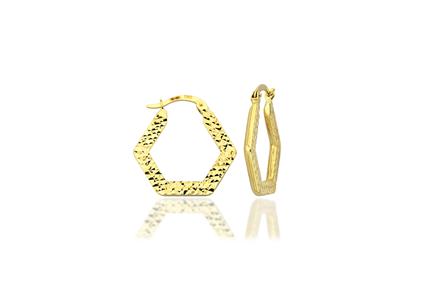 Emma 14K Gold Hoop Earring