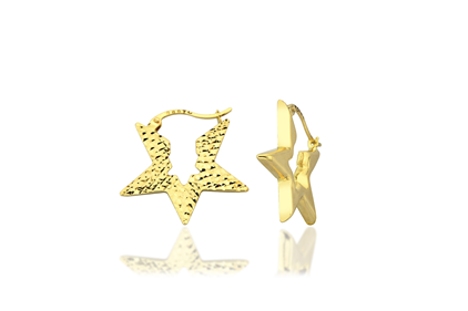 Celeste 14K Gold Star Earring